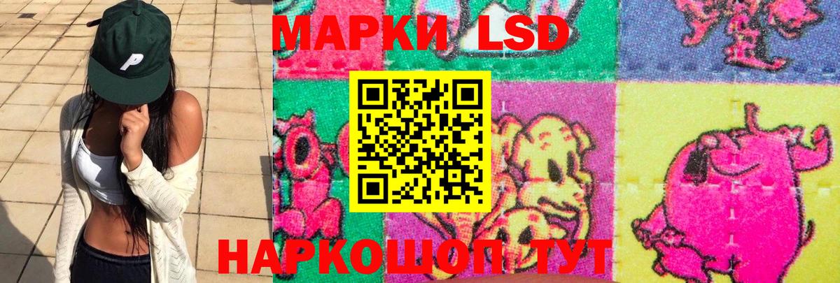 ЛСД экстази кислота  LSD-25 экстази  ЛСД экстази кислота  Чистополь  Вход с VPN 